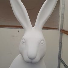 A “Hare” Raising Announcement
